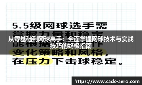 从零基础到网球高手:全面掌握网球技术与实战技巧的终极指南